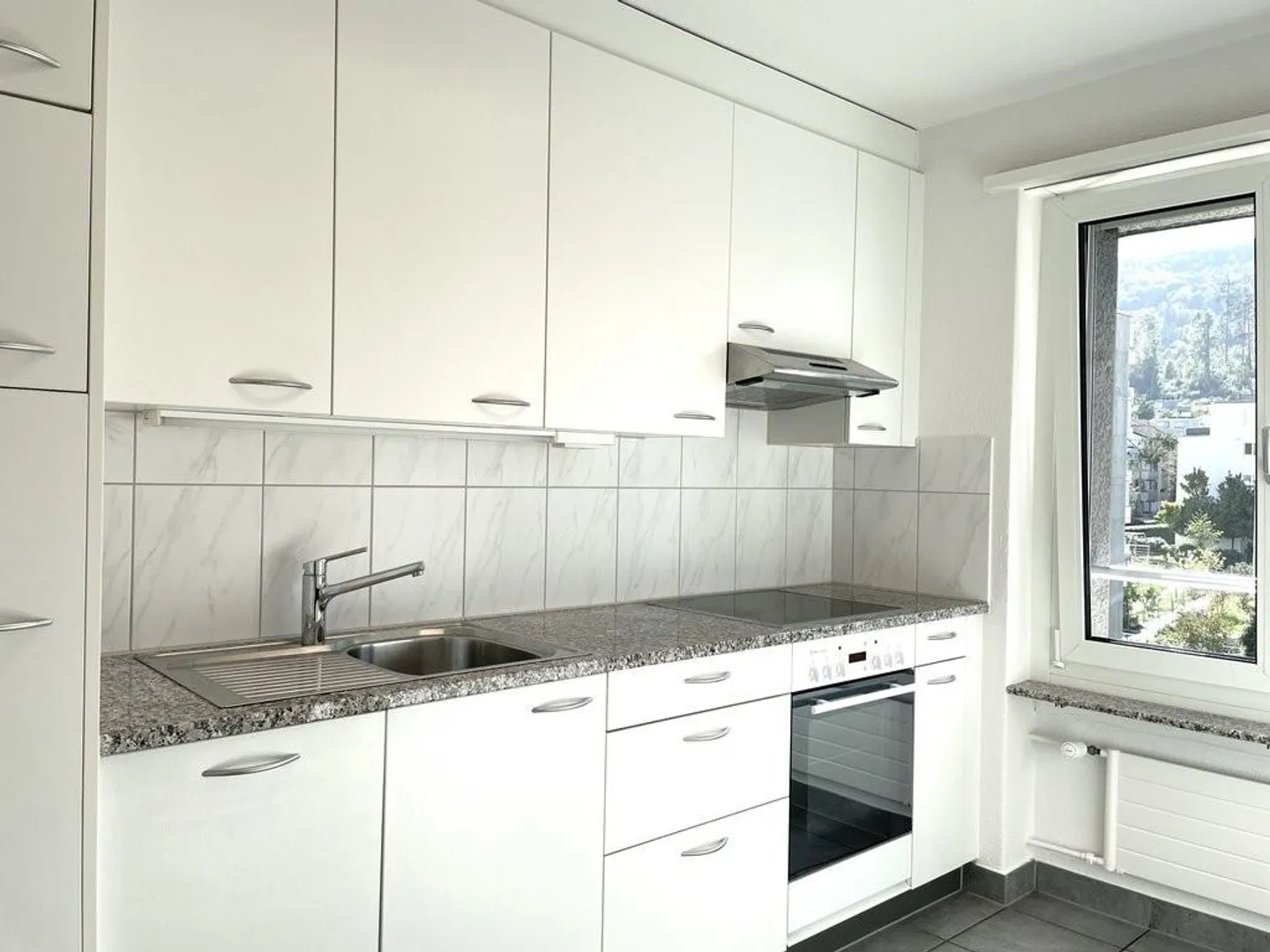 Stunning view of Uetliberg, Zurich Albisrieden - Photo 3 of 8