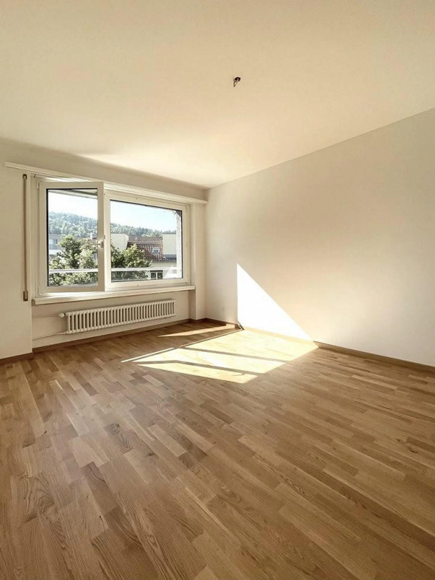 Stunning view of Uetliberg, Zurich Albisrieden - Photo 4 of 8