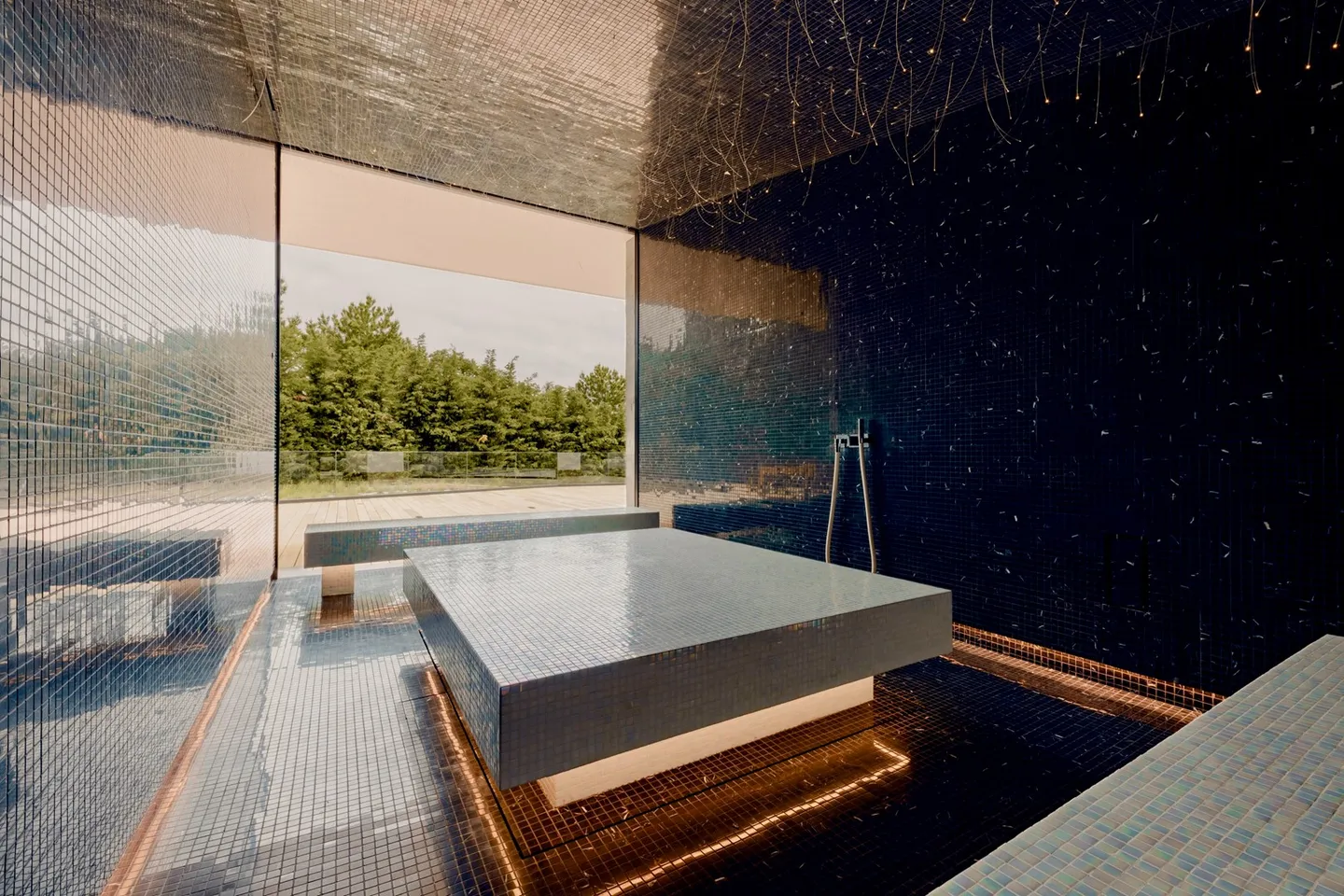 Villa di Lusso con Spa a Ginevra - Foto 10 di 12