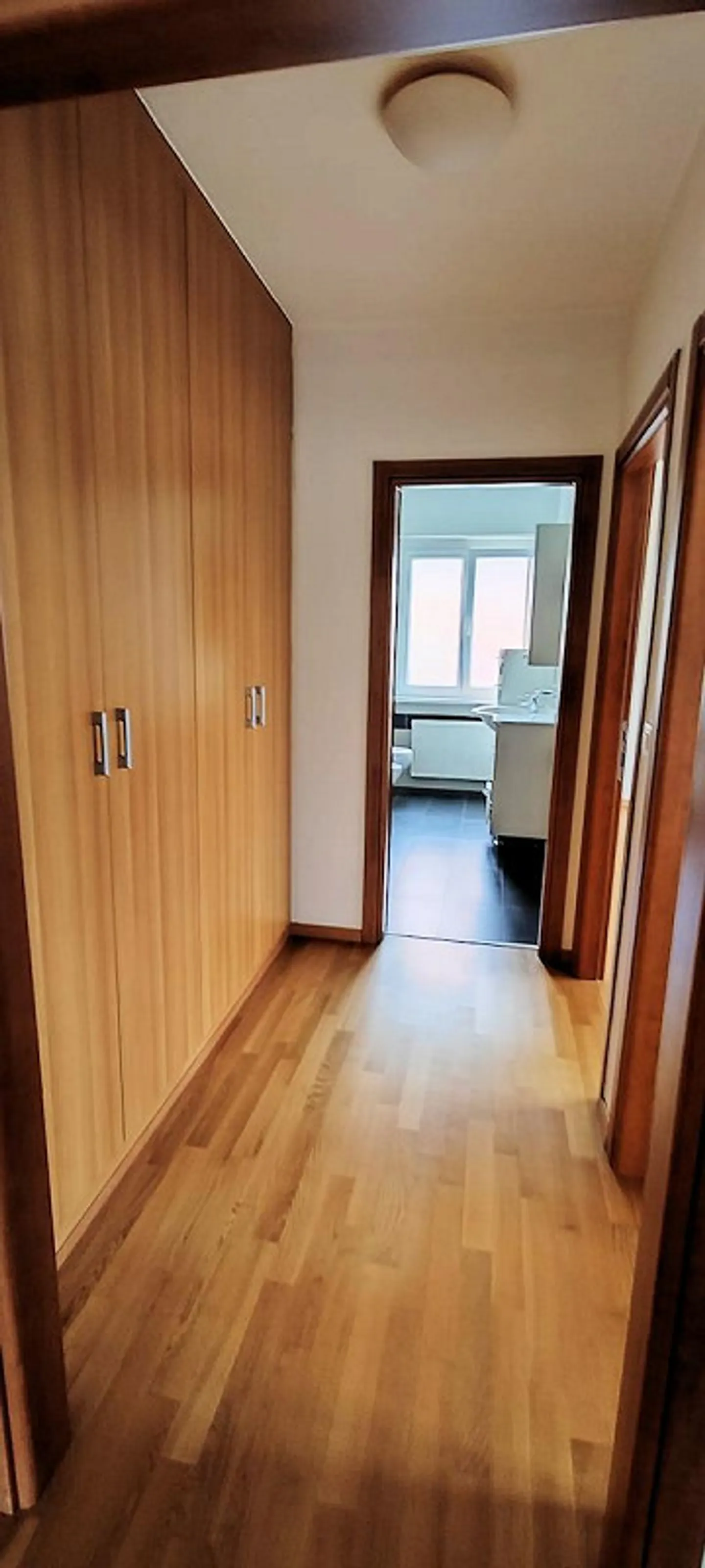 Bellissimo appartamento di 3,5 stanze con vista panoramica ad Agno - Foto 6 di 7