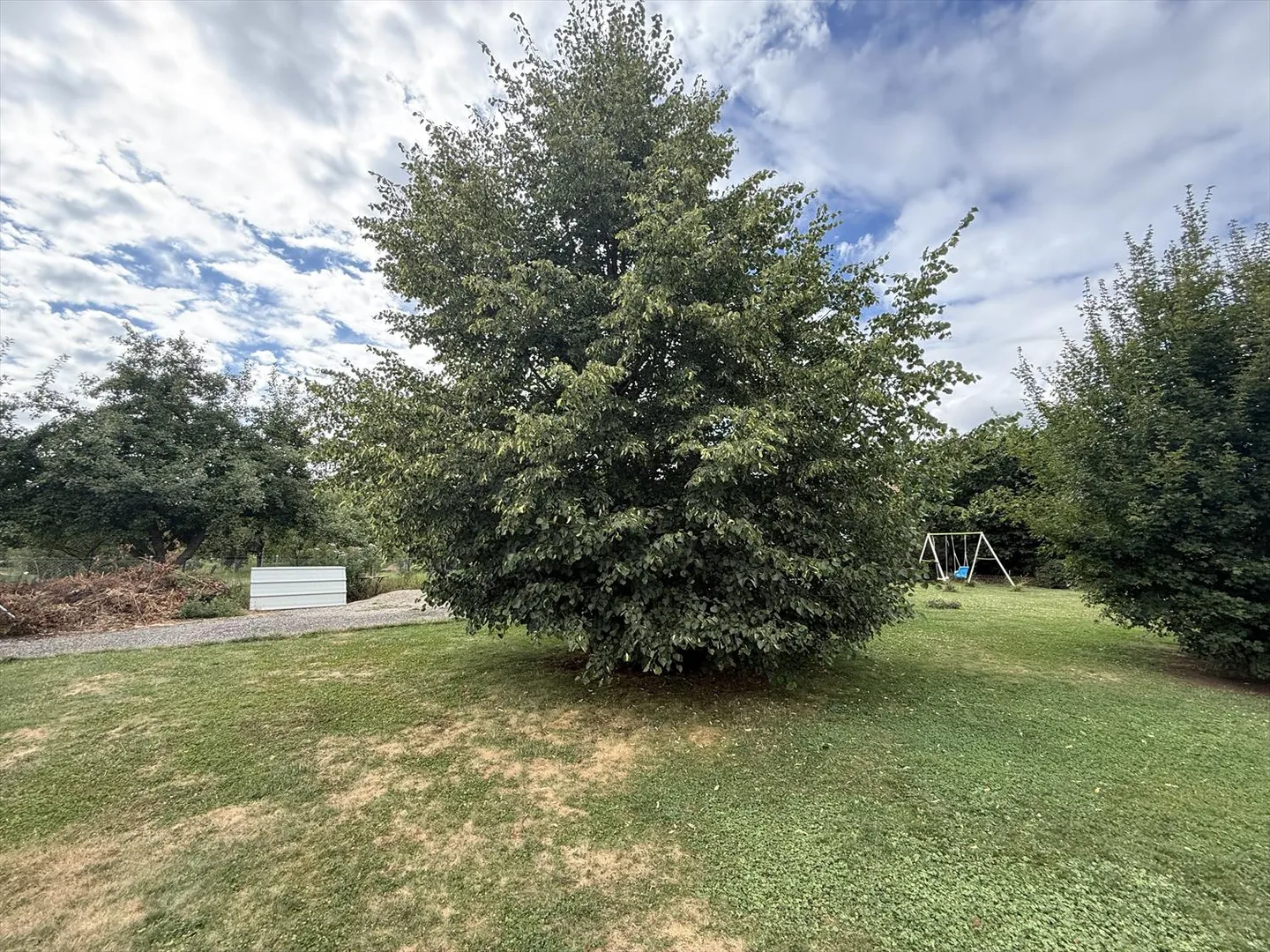 Maison contiguë 11 pièces - Foto 12 von 13