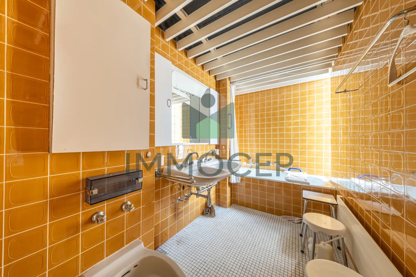 Maison d'architecte sur belle parcelle de plus de 1'500 m2 - Photo 8 sur 11