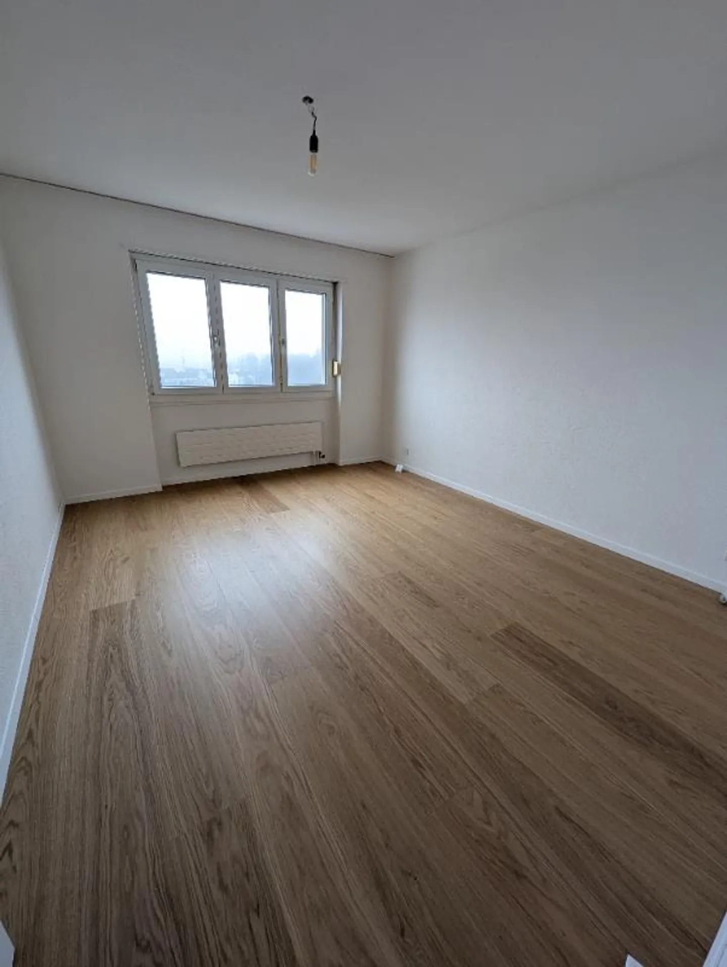 2.5 Room Apartment - Photo 2 of 4