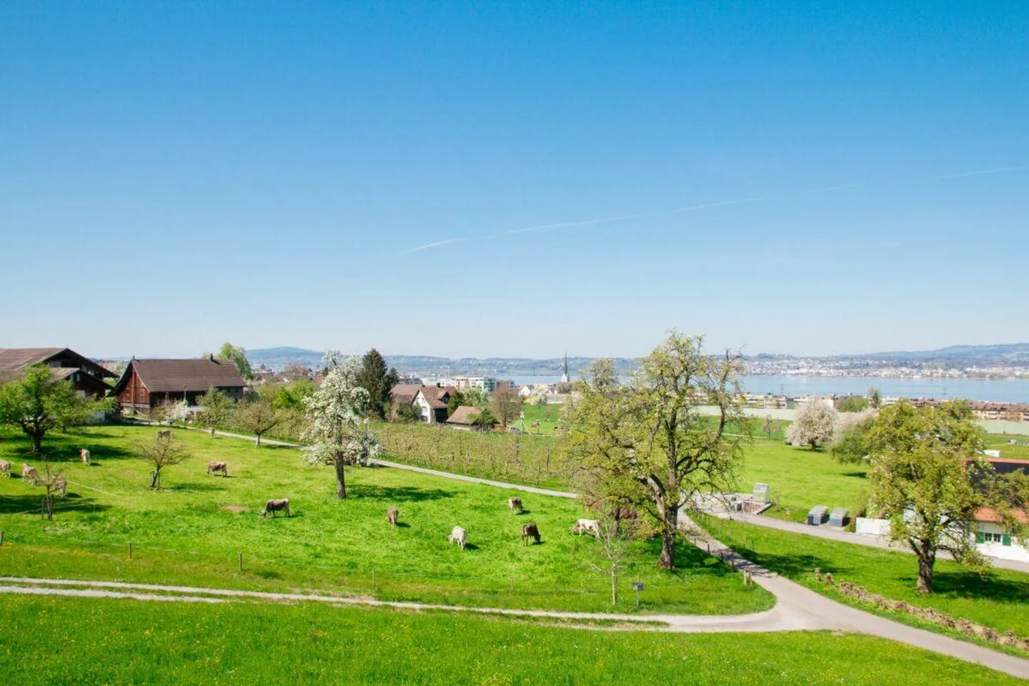 Proprietà esclusiva con vista lago non ostacolata - Foto 12 di 19
