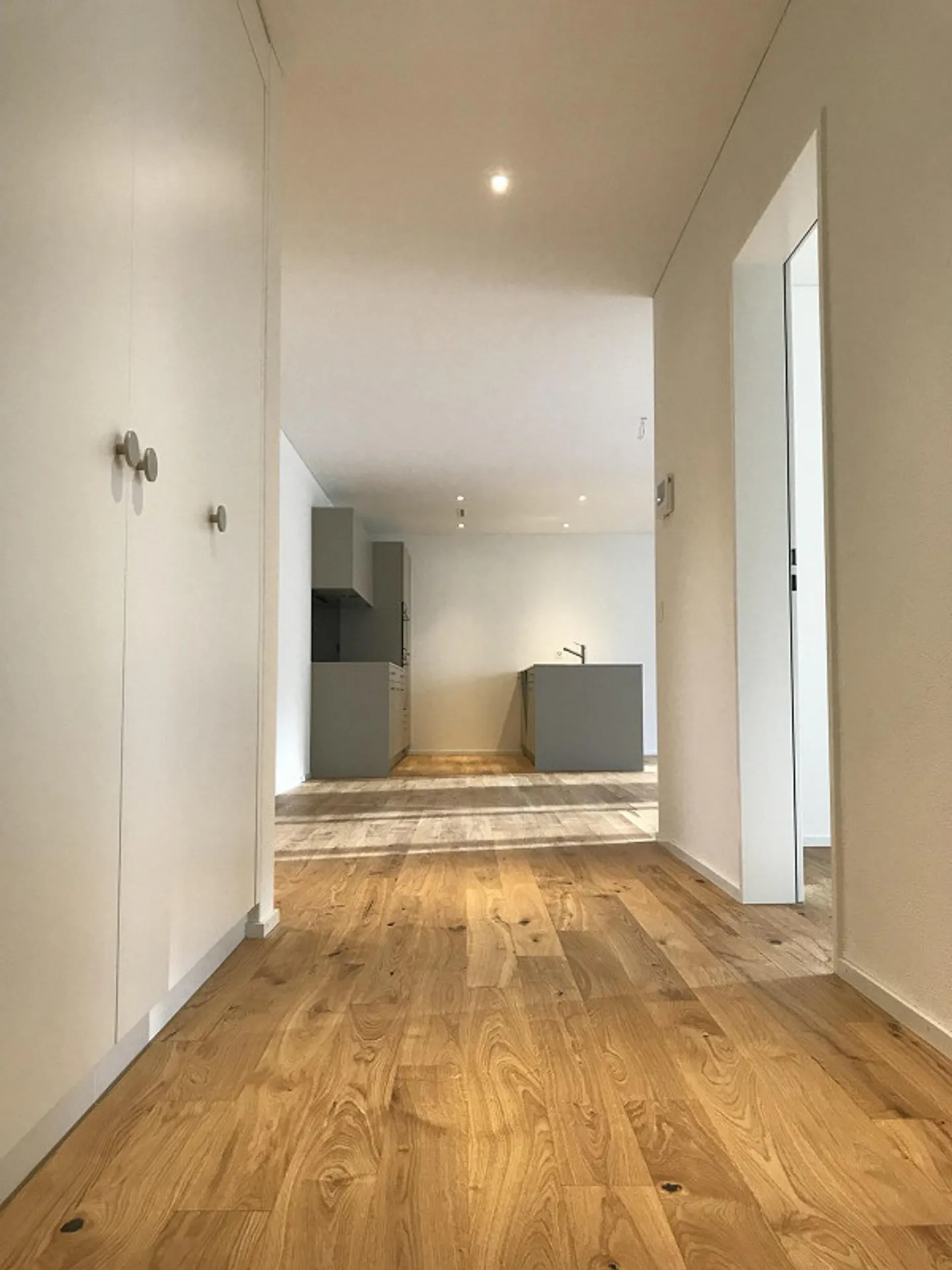 Modernes Apartment am Sihlufer - Foto 3 von 10