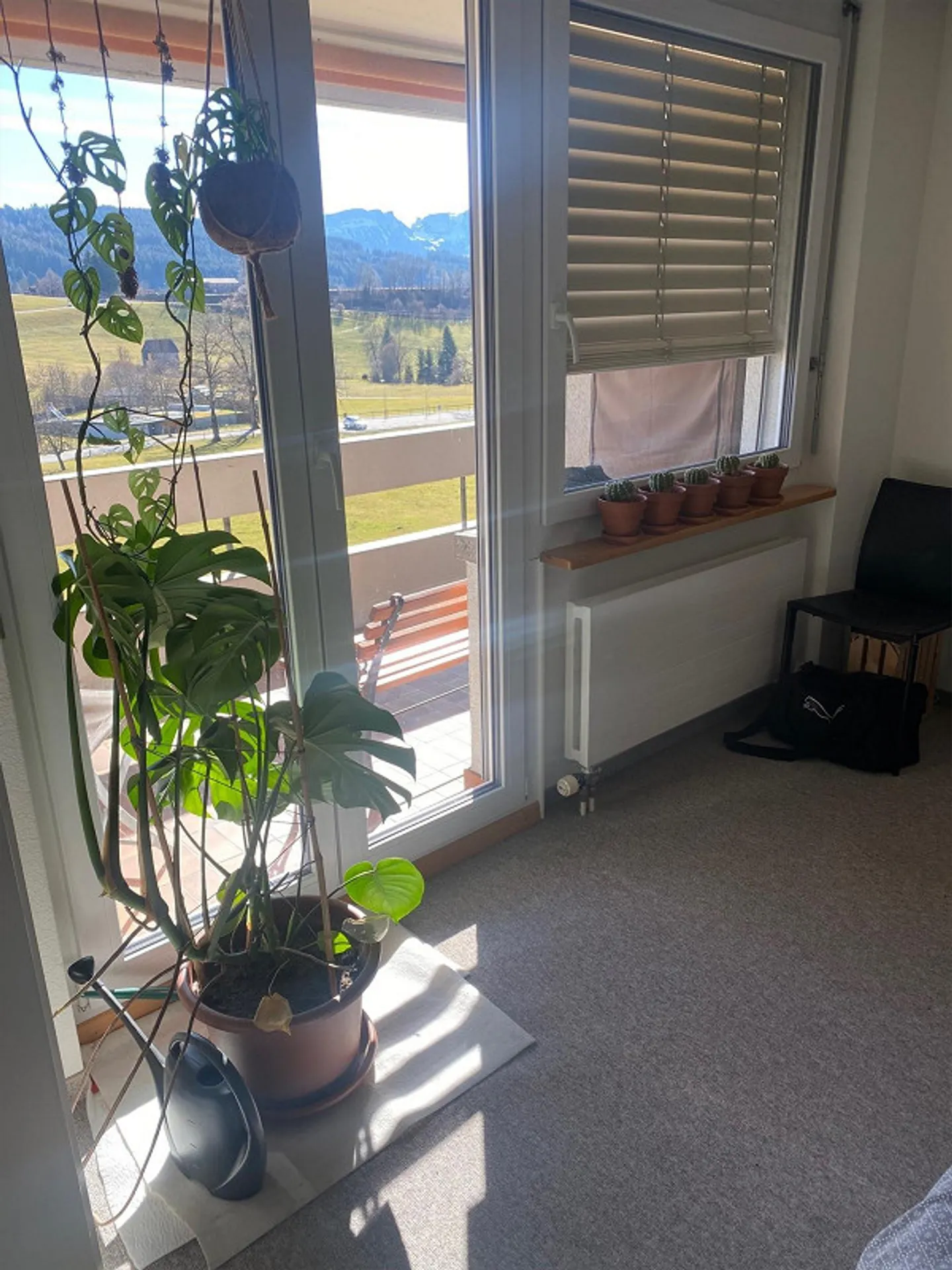 Sunny 2-room apartment with magnificent view in Gais AR - Photo 2 of 10