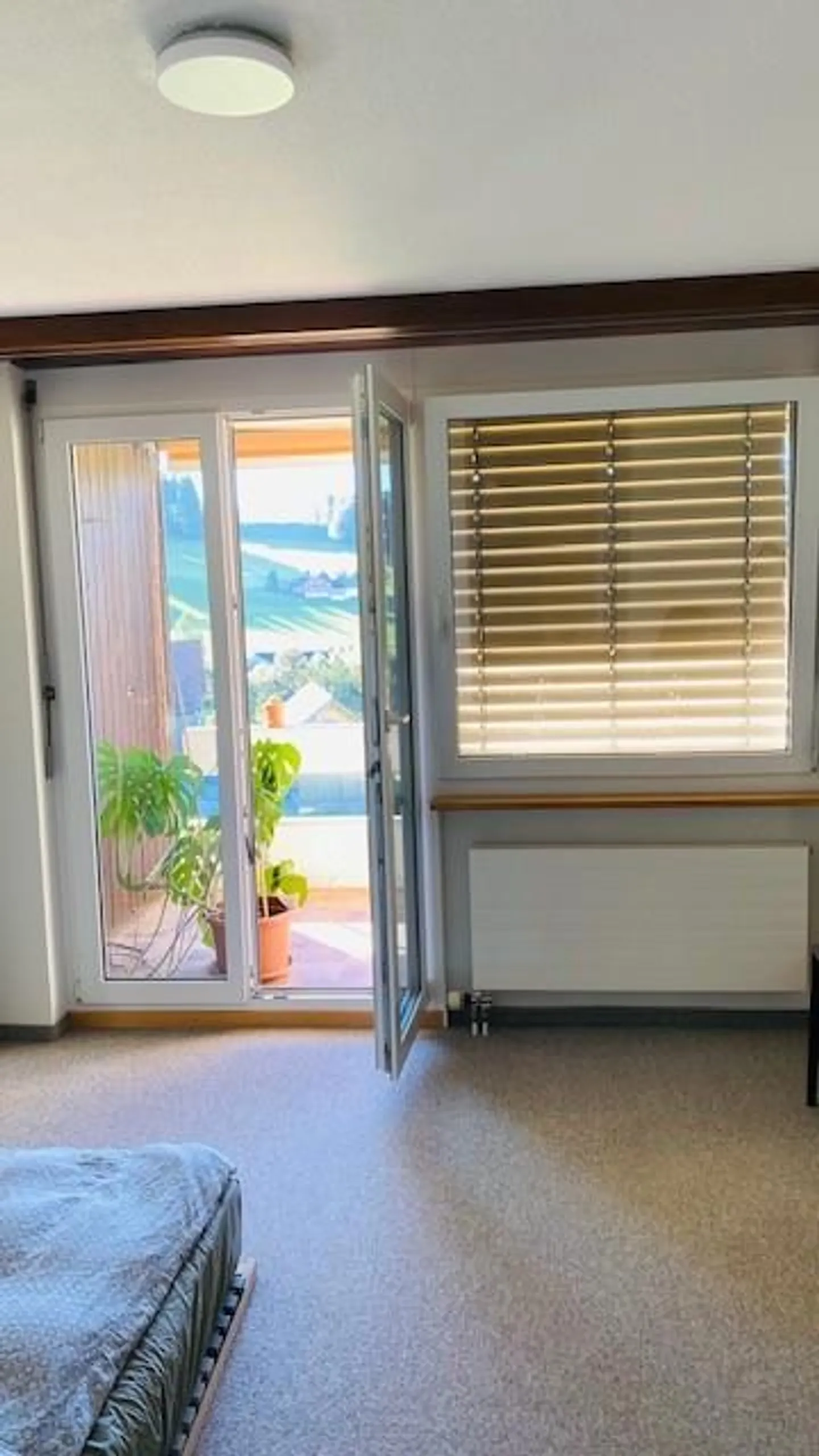 Sunny 2-room apartment with magnificent view in Gais AR - Photo 5 of 10