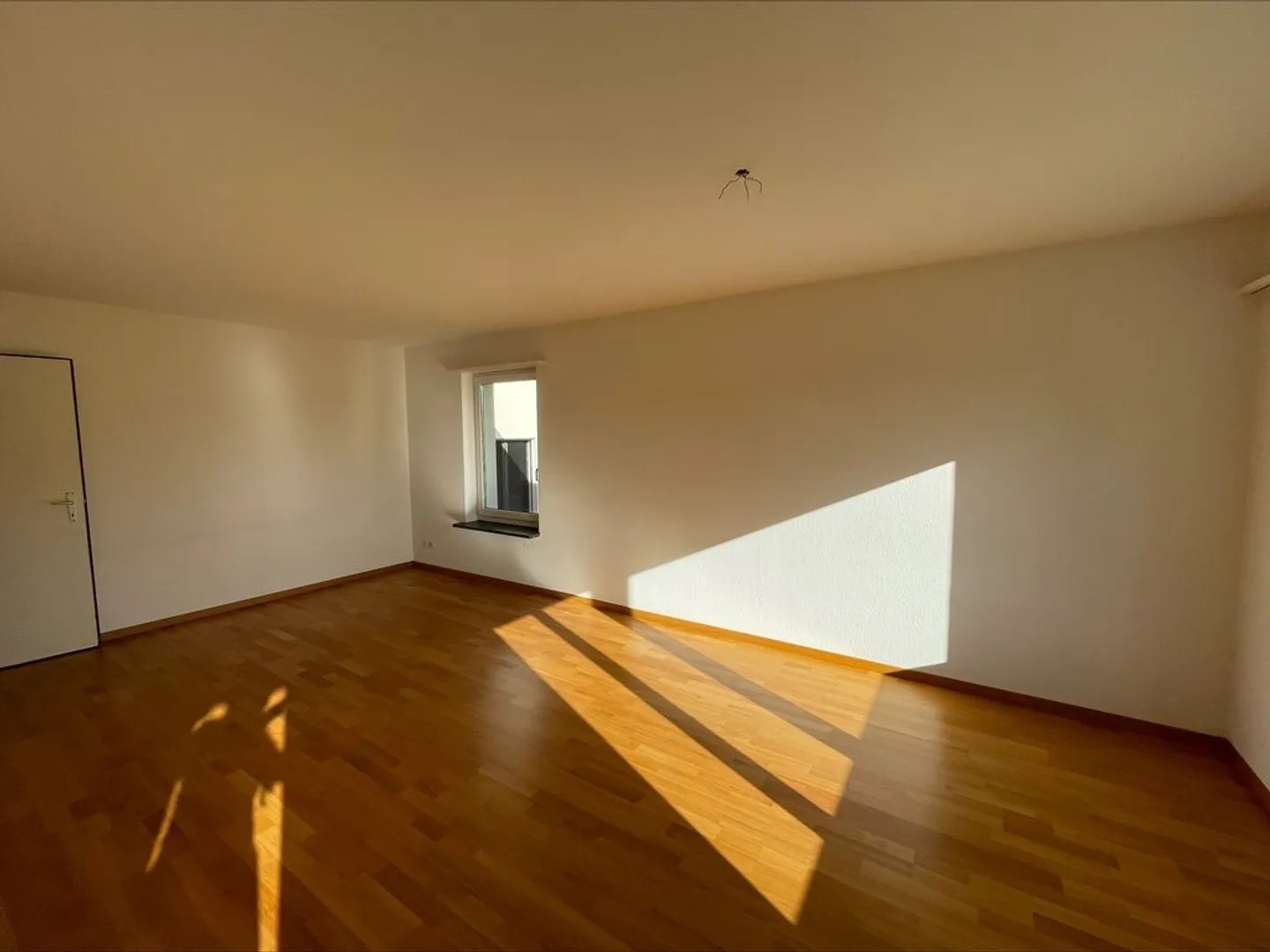 Near University - Beautiful living in a great location with a view of greenery - Photo 3 of 7