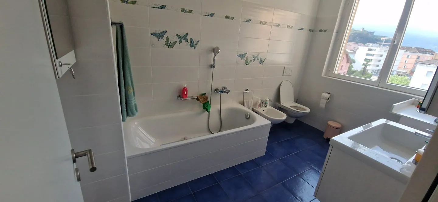 Appartamento moderno di 4,5 stanze con vista sui castelli di Bellinzona - Foto 7 di 9