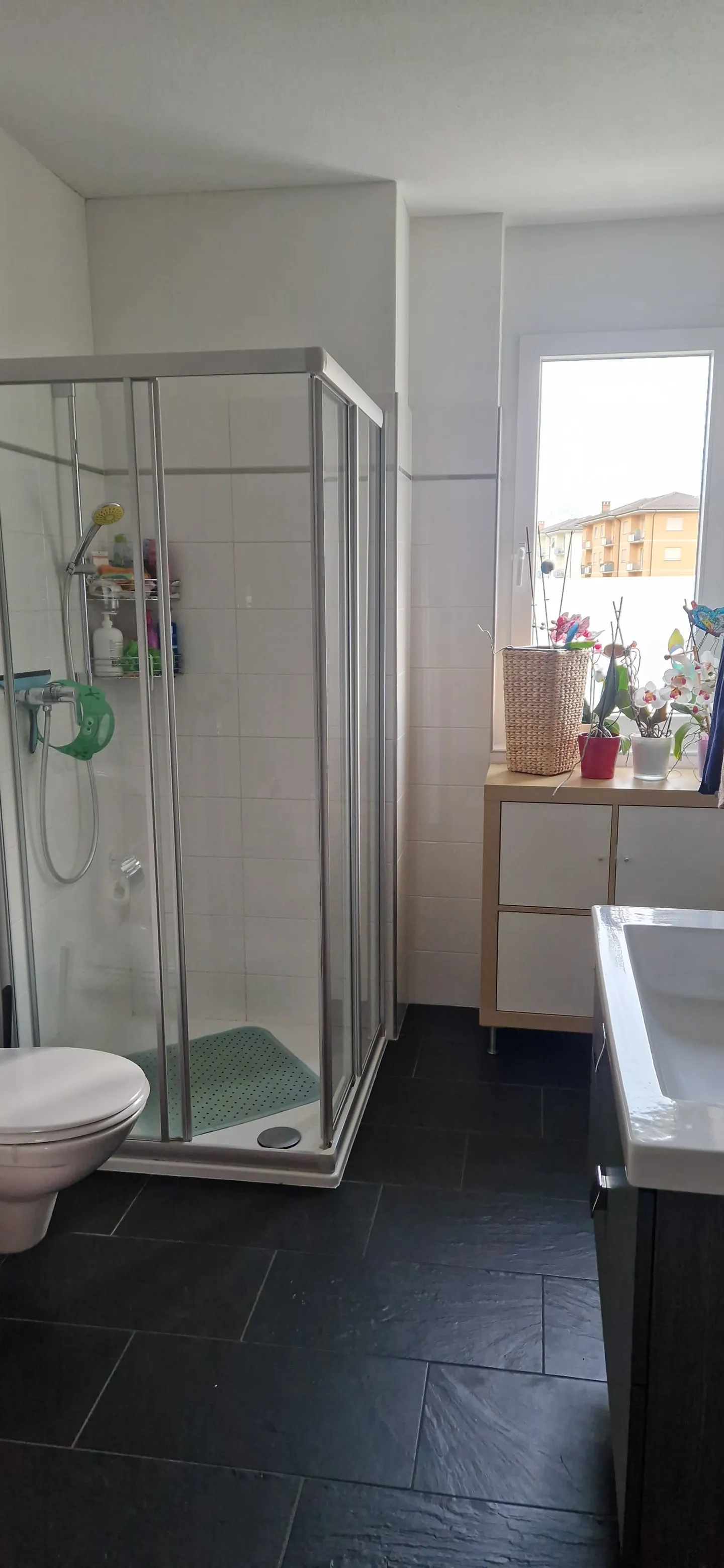 Appartamento moderno di 4,5 stanze con vista sui castelli di Bellinzona - Foto 8 di 9