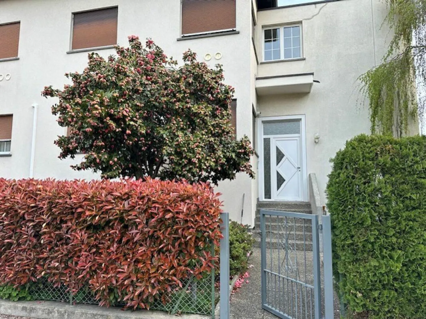 Enorme 3.5 in zona tranquilla di Bellinzona - Foto 15 di 17