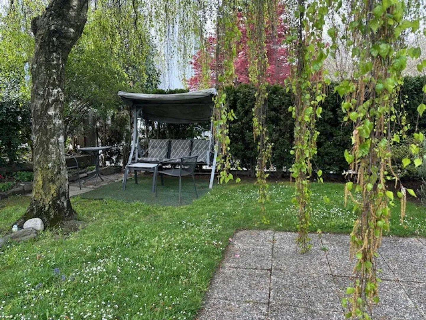 Enorme 3.5 in zona tranquilla di Bellinzona - Foto 17 di 17