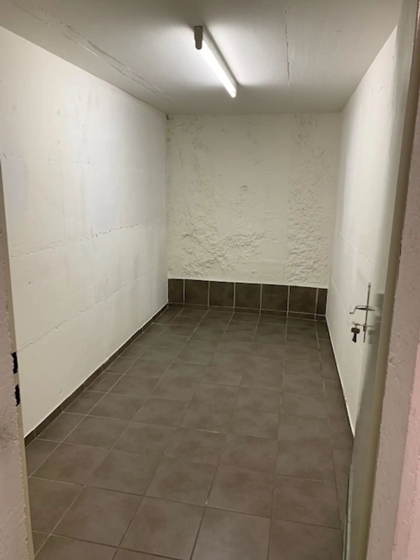 Keller - Foto 1 von 1