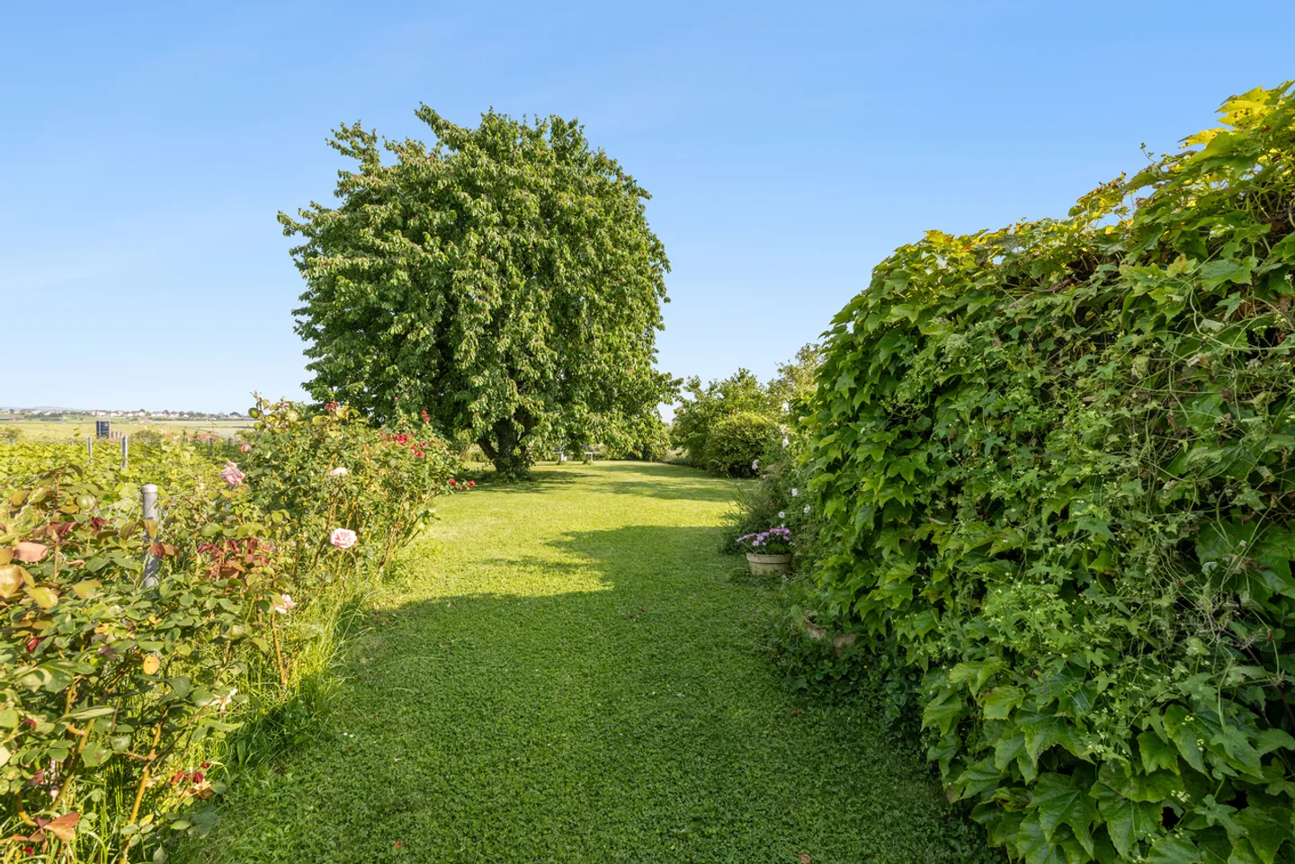 5,5 Zimmer in einer charmanten kleinen Eigentumswohnung 15 Minuten von Lausanne entfernt - Foto 9 von 10