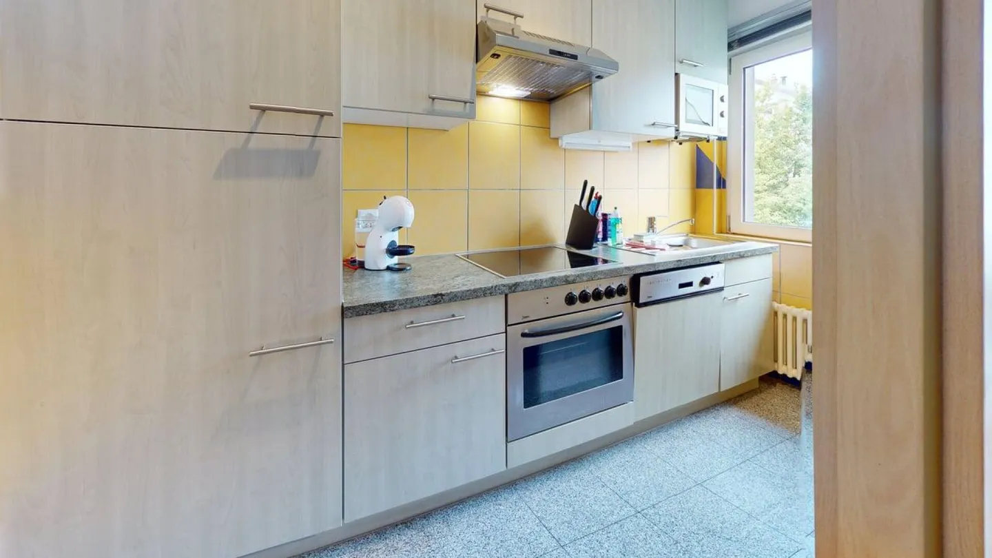 Unique Serviced Living @ Basilea SBB / Gundeldingen - Foto 5 di 8