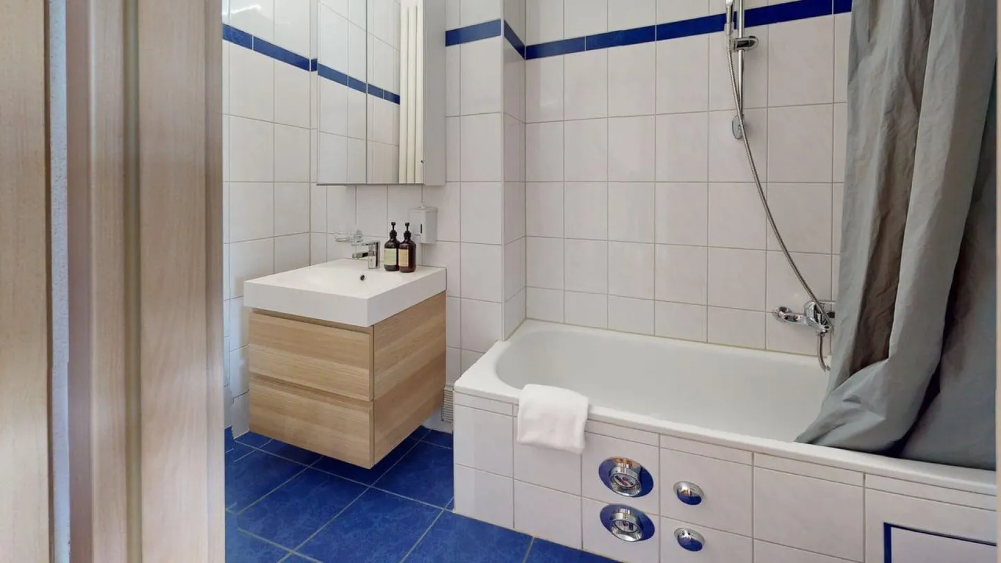 Unique Serviced Living @ Basilea SBB / Gundeldingen - Foto 8 di 8