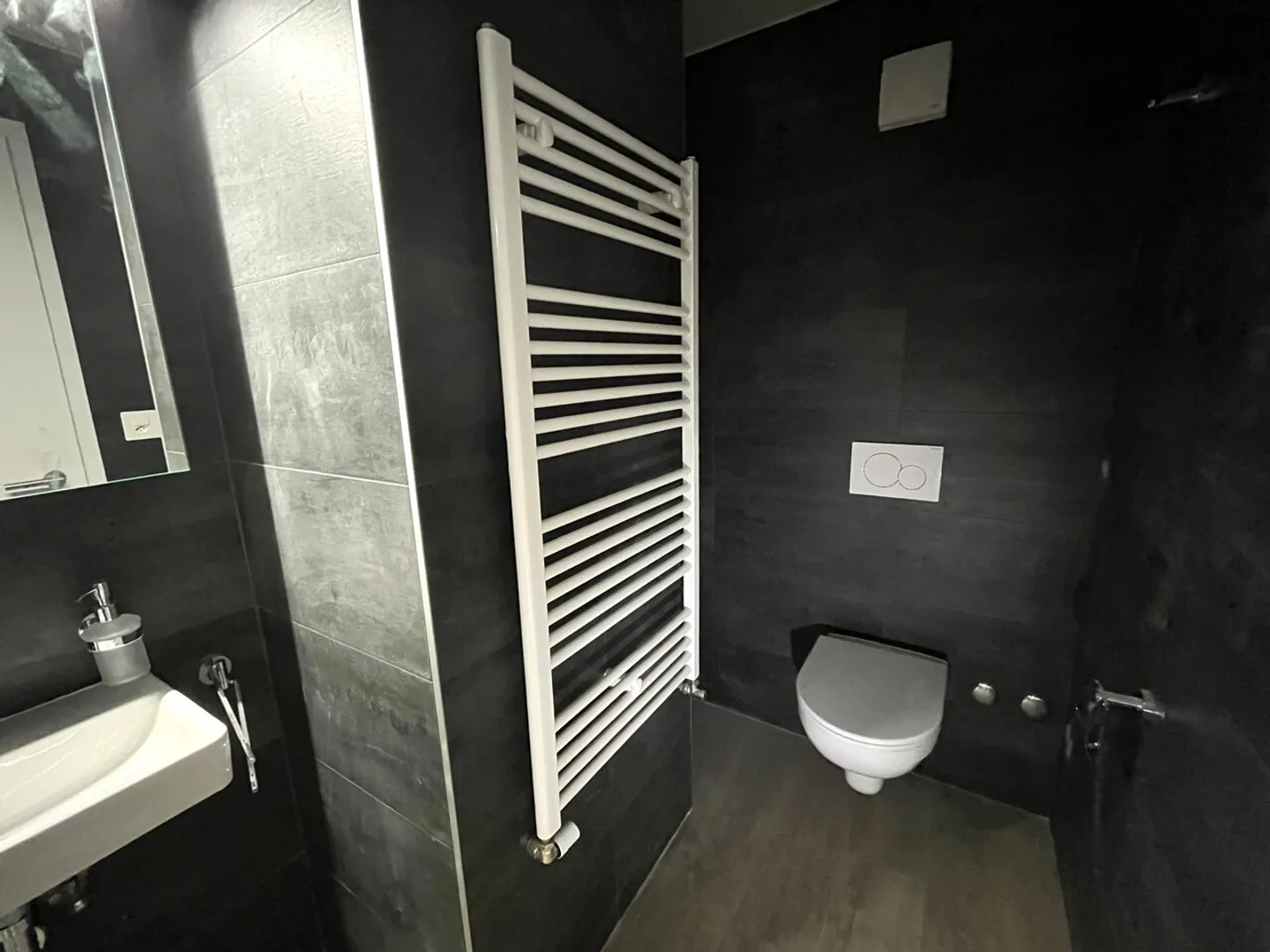 Bellissimo nuovo studio a Yens - Foto 4 di 4