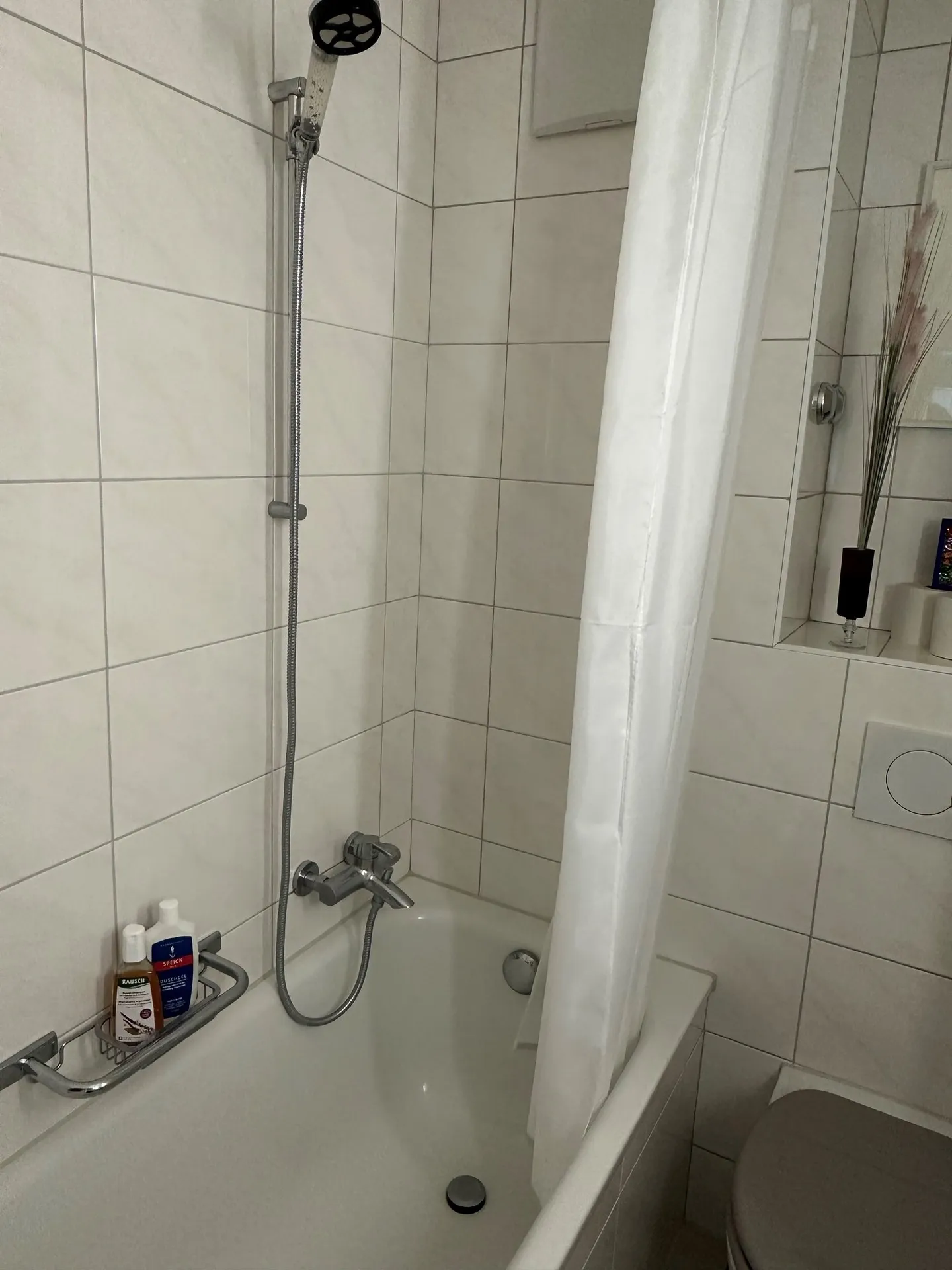 Cozy Studio Apartment in Rüttenen - Photo 2 of 4