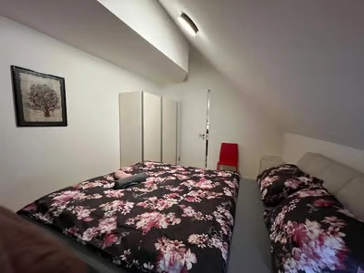 Spacious Minergie Apartment - Photo 8 of 13