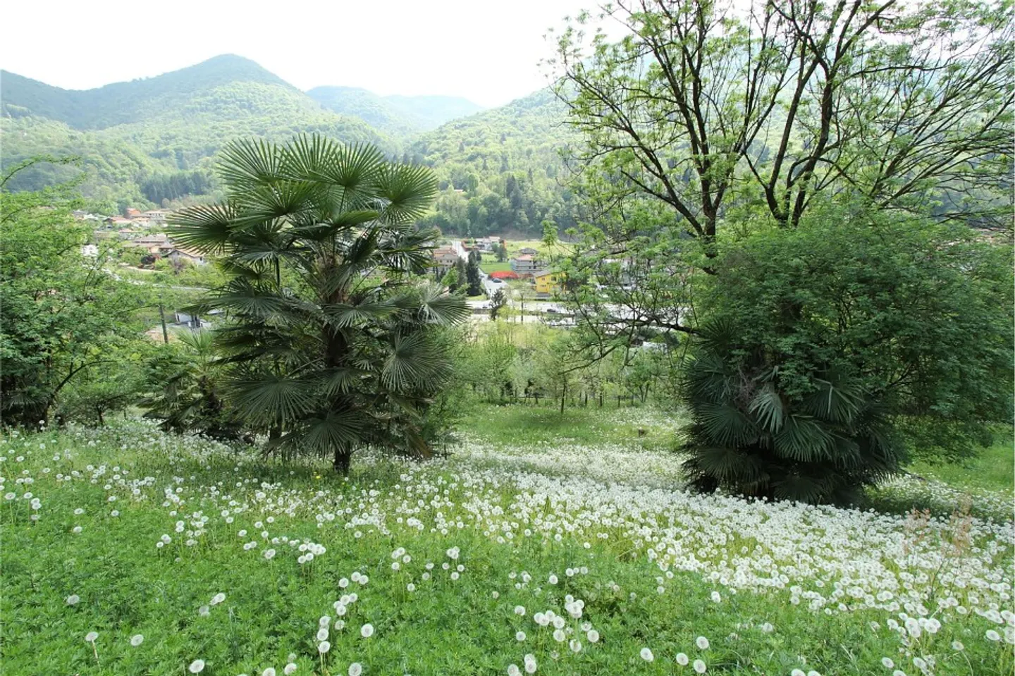 Terrain constructible intéressant avec un grand potentiel - Photo 7 sur 13