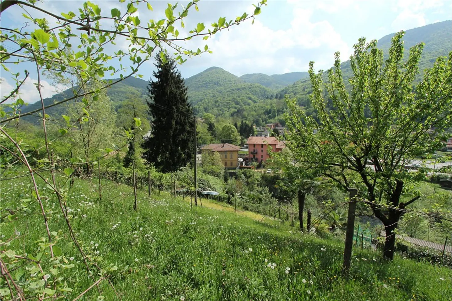 Terrain constructible intéressant avec un grand potentiel - Photo 13 sur 13