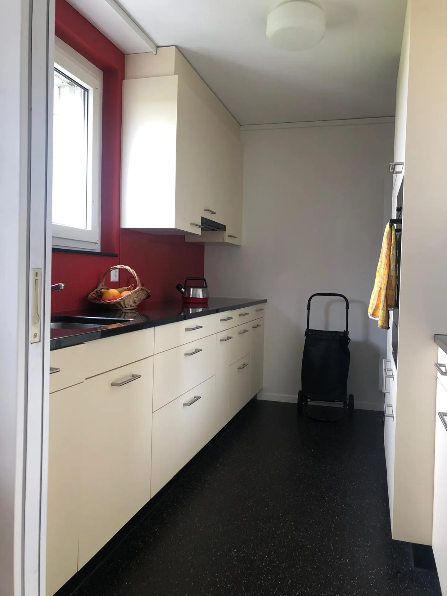 Appartamento arredato con 5 stanze e vista a Berna - Foto 2 di 14