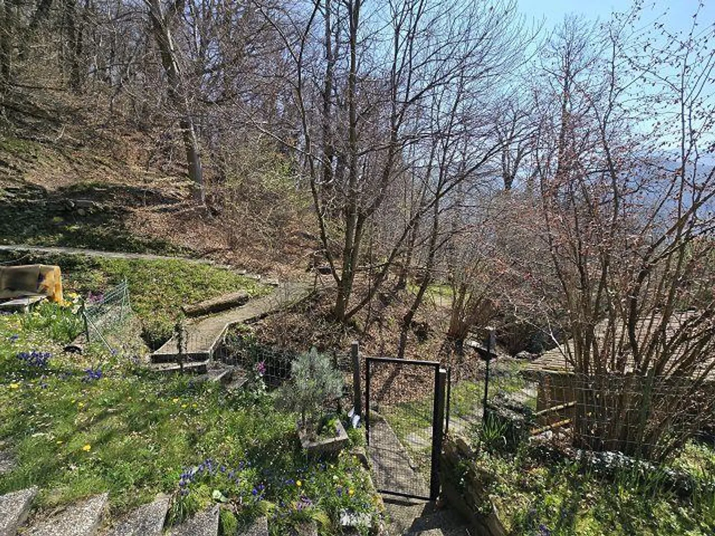 rustico di 3 loc. piccolo terreno molto soleggiata, tranquilla, con bella vista - Foto 20 di 32