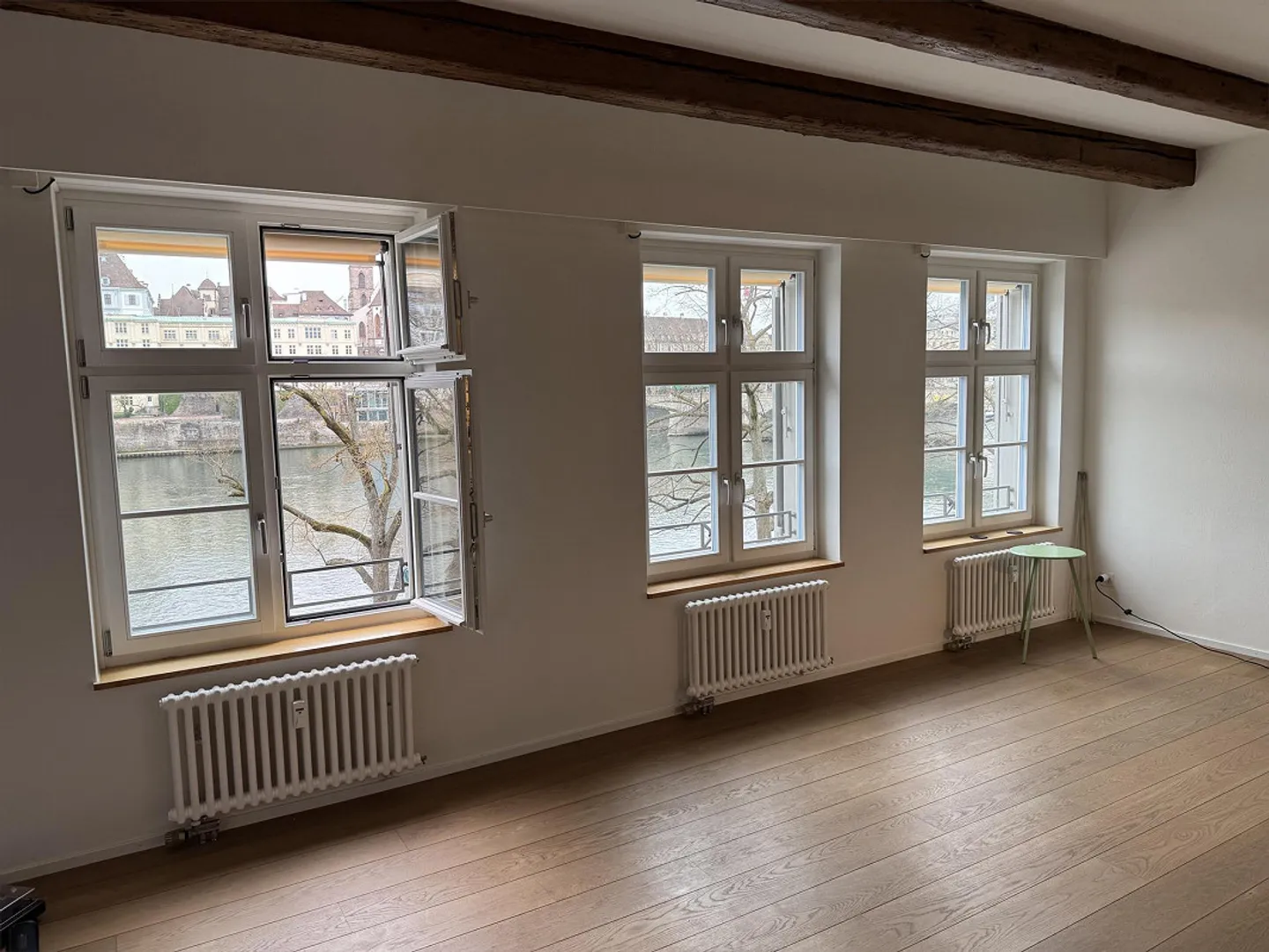 Stunning Apartment on the Rhine - Photo 8 of 10