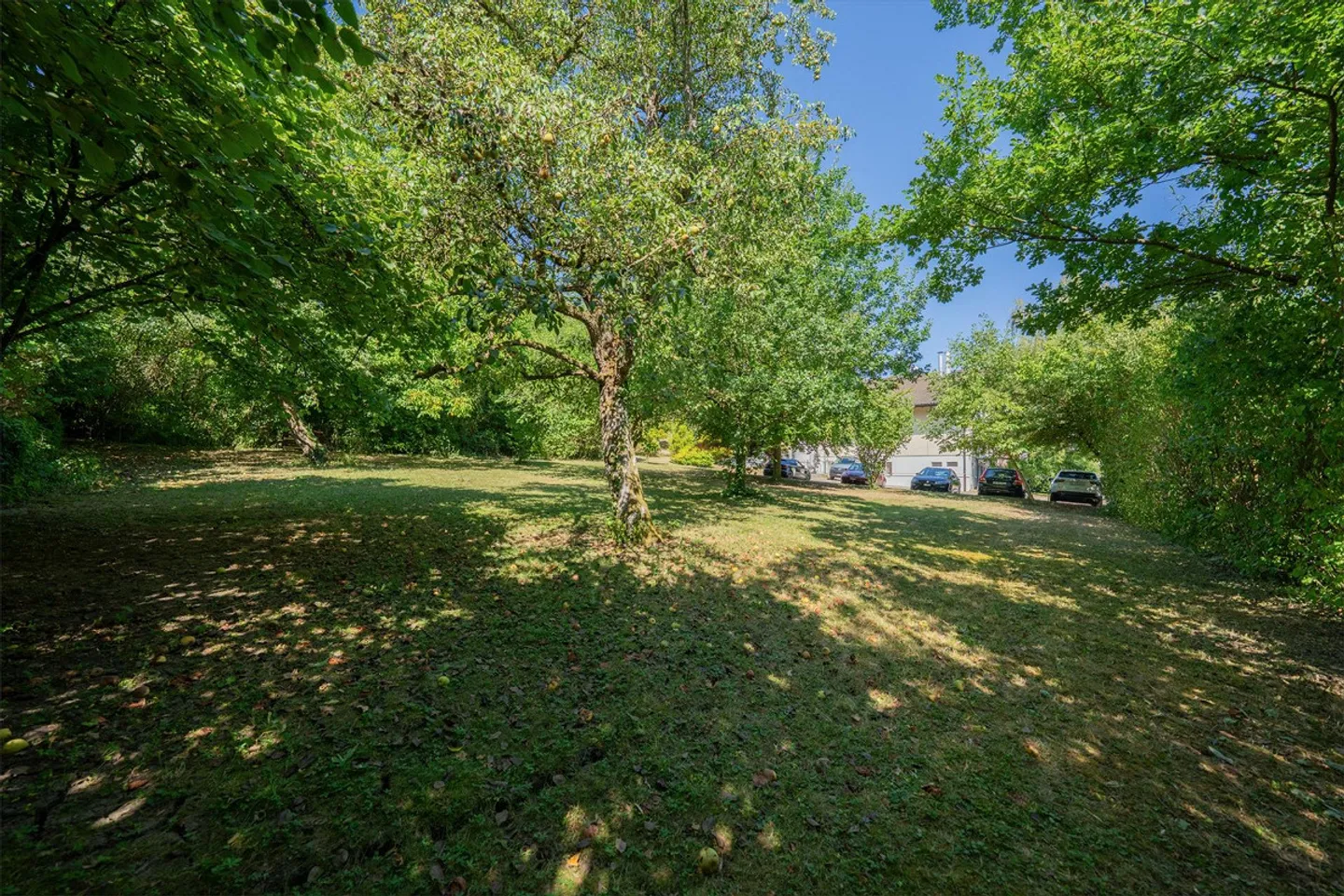Building land with significant potential - Photo 2 of 2