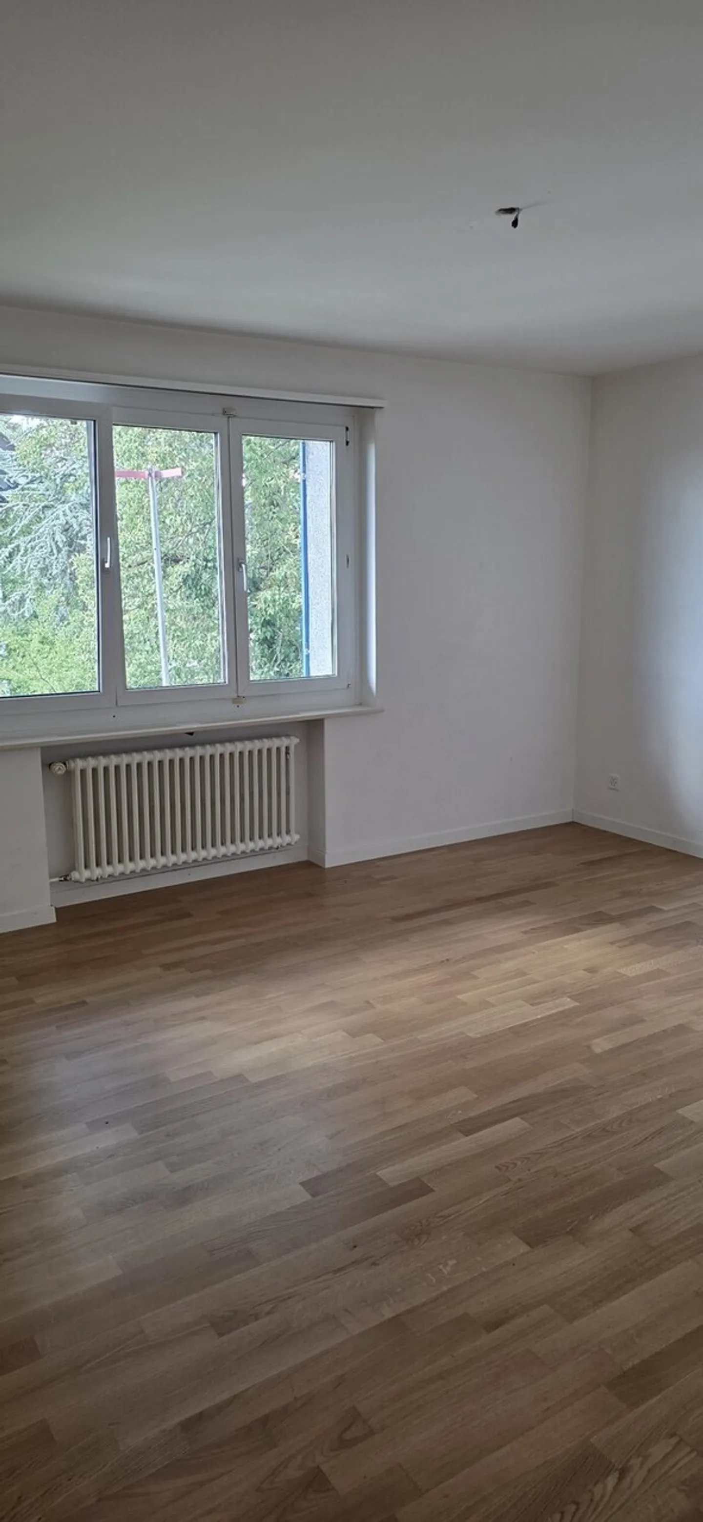 Gemütliche 4-Zimmerwohnung in Zürich - Foto 6 von 12