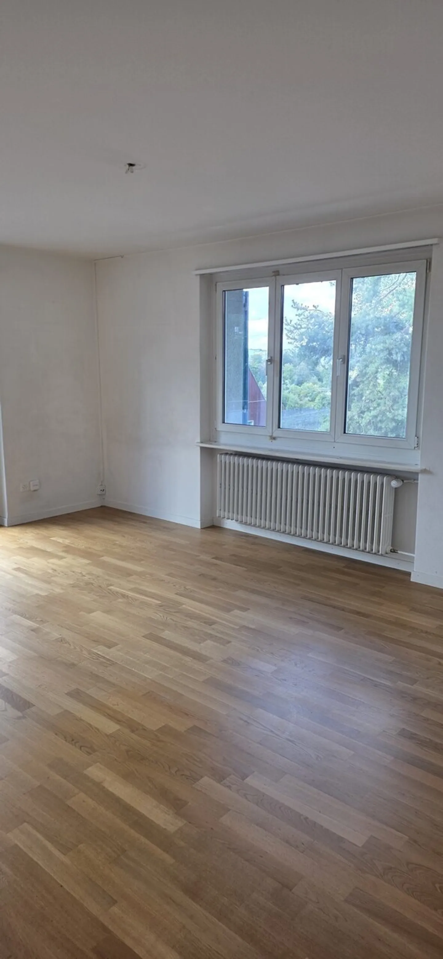 Gemütliche 4-Zimmerwohnung in Zürich - Foto 7 von 12