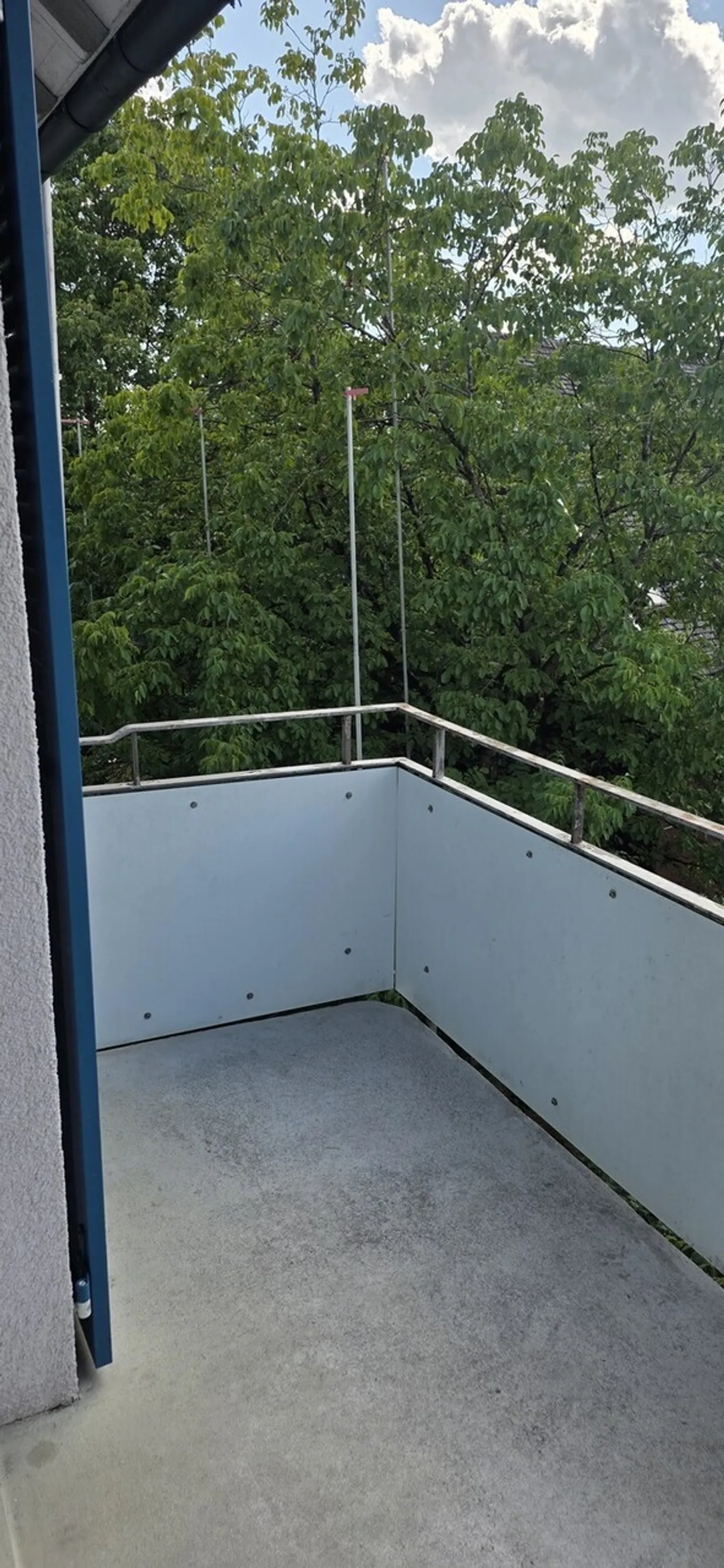 Gemütliche 4-Zimmerwohnung in Zürich - Foto 10 von 12