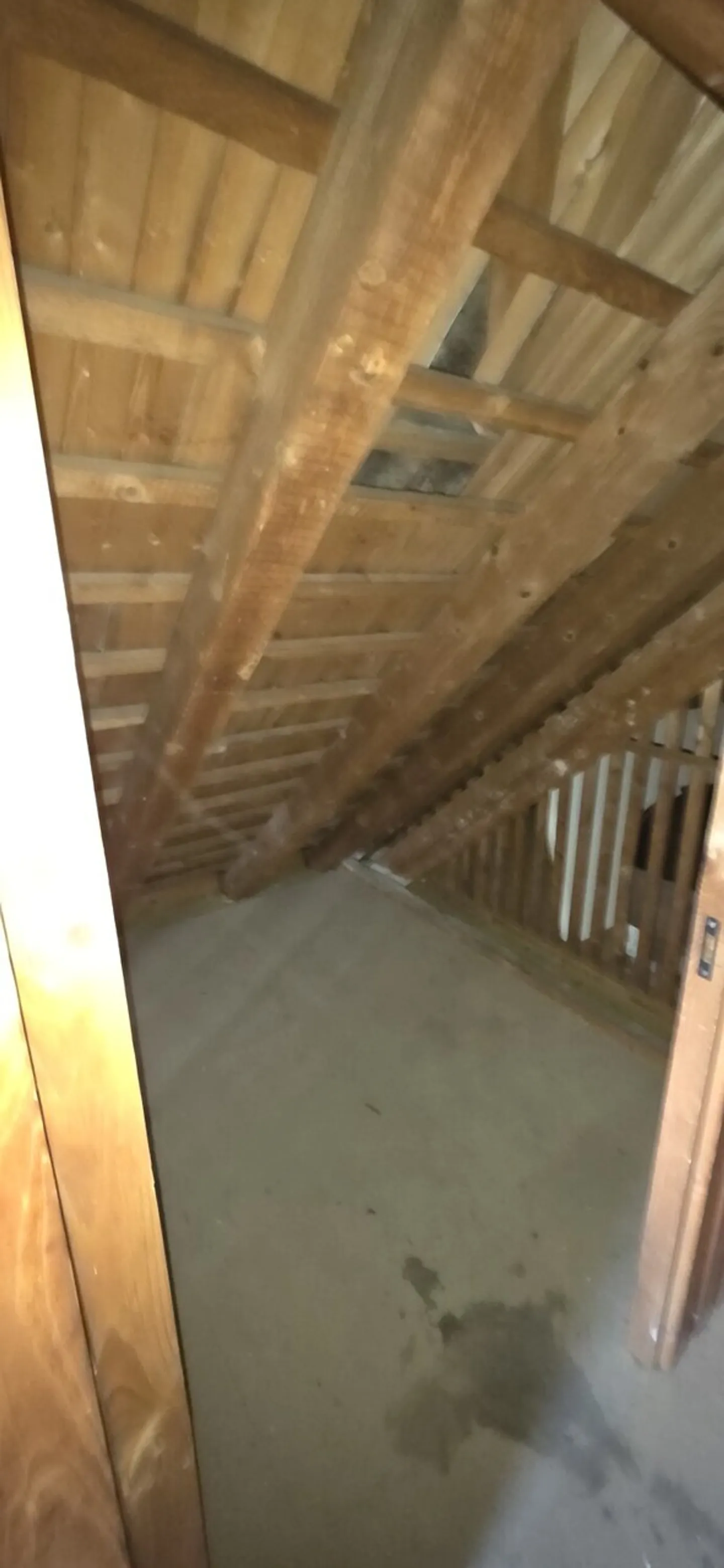 Gemütliche 4-Zimmerwohnung in Zürich - Foto 12 von 12