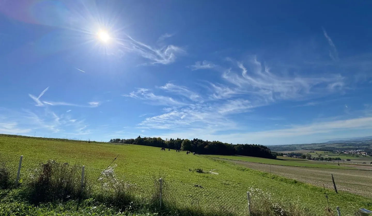 Geräumige Erdgeschosswohnung - Foto 8 von 8
