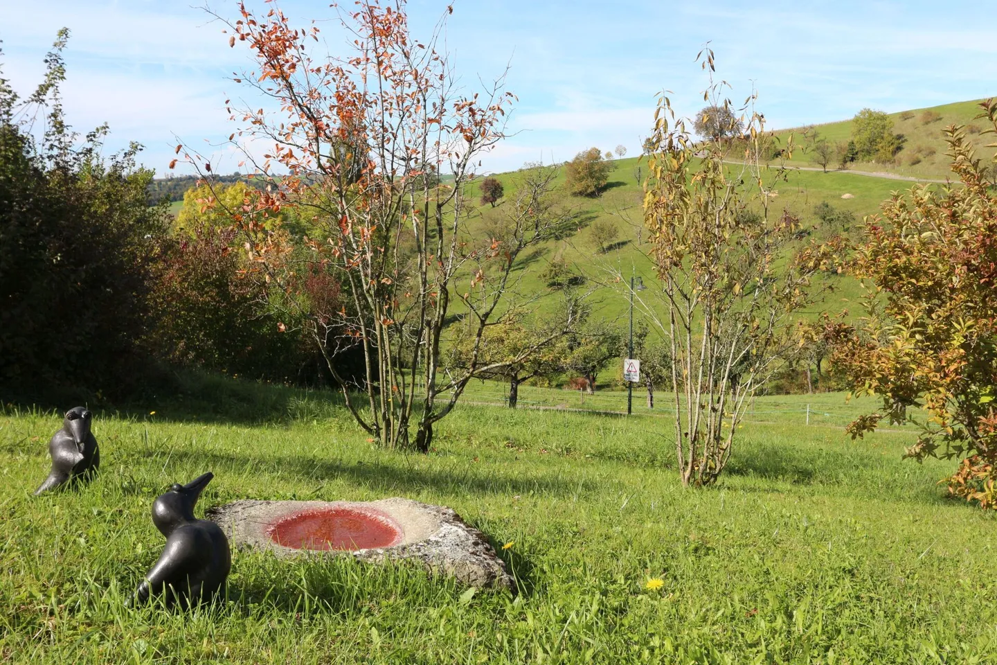 Eine Wohn-Oase unweit von Sissach - Foto 19 von 26