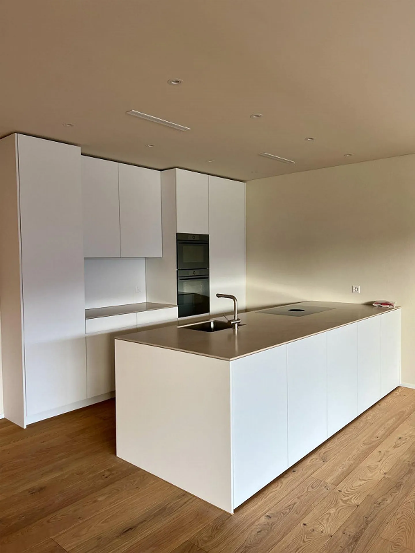 Luxurious 3.5-room terrace apartment with the best lake & mountain view - Photo 4 of 9