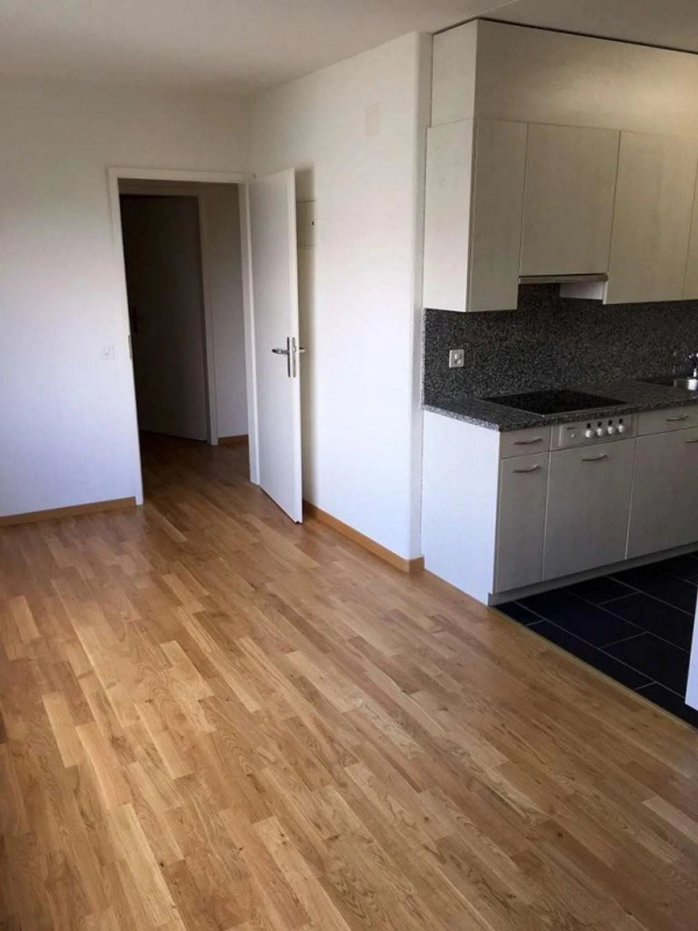 Spacious 4.5-room apartment on the 2nd floor - Photo 5 of 12