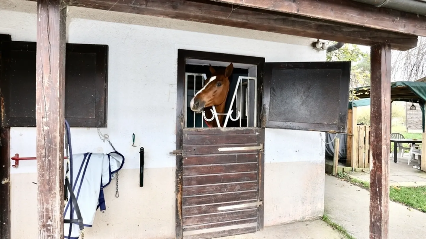 Reiterhof mit Hotel-Restaurant und Personalwohnung - Foto 15 von 18