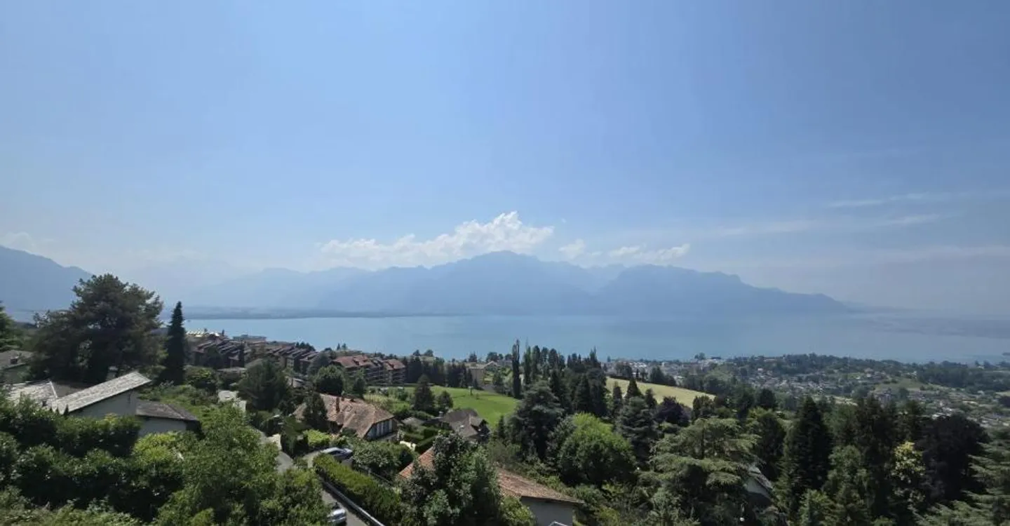 Attique avec terrasse vue lac - Photo 6 sur 8