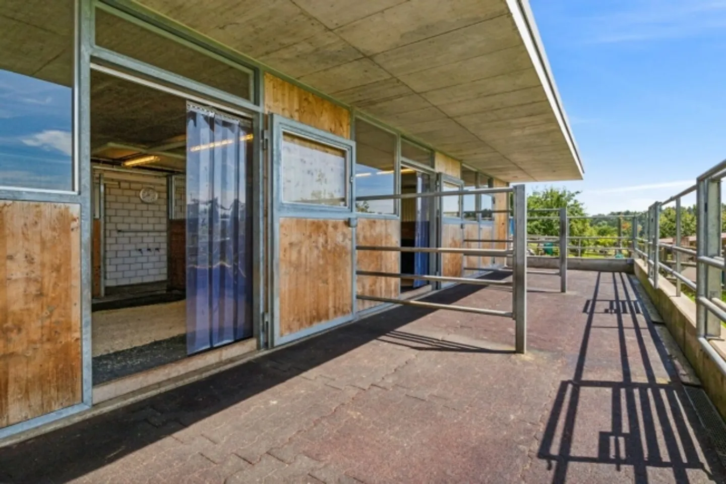 Exclusive Living with Commercial Potential and Infrastructure for 3 Horses - Photo 15 of 20