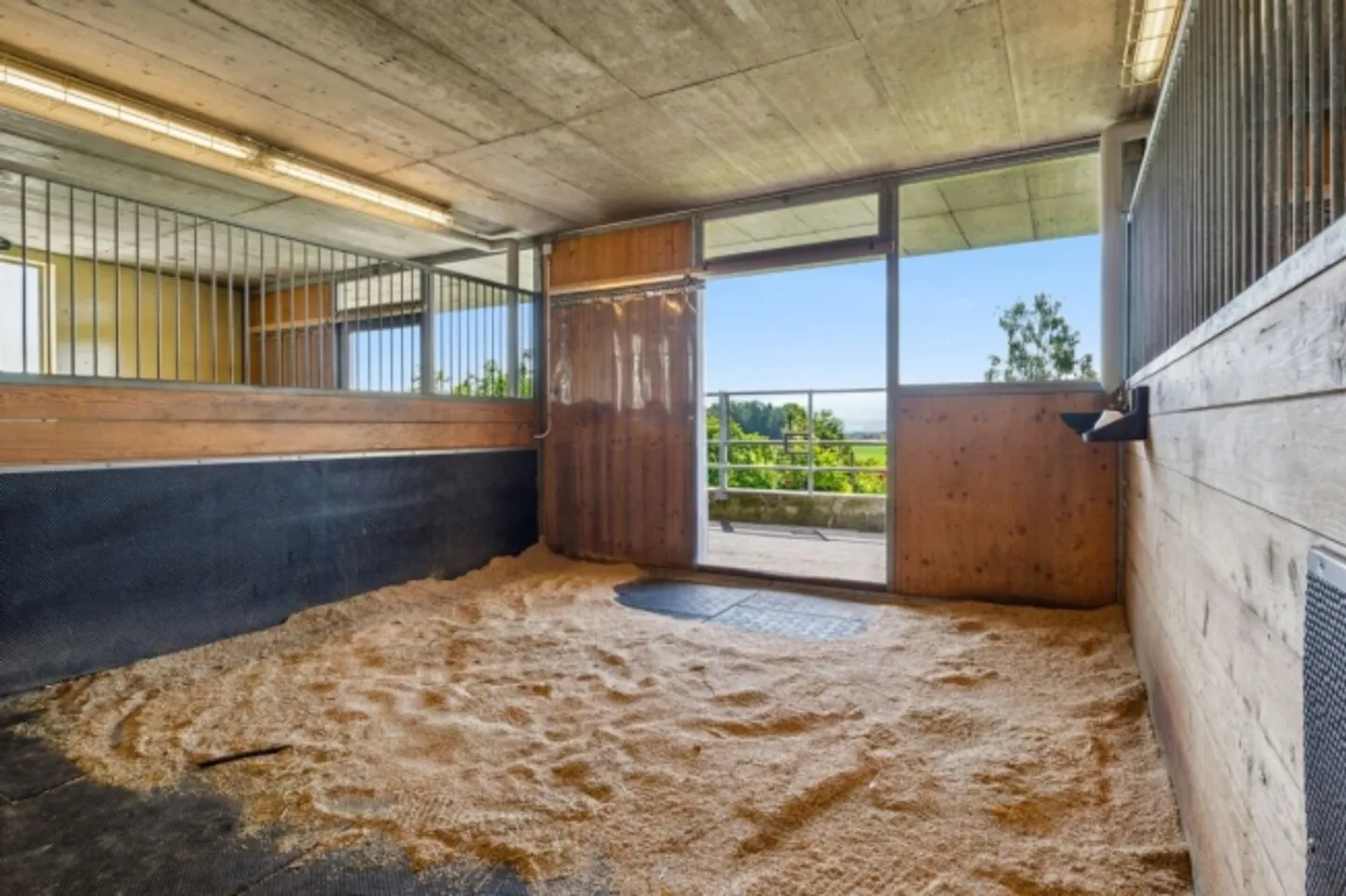 Exclusive Living with Commercial Potential and Infrastructure for 3 Horses - Photo 16 of 20