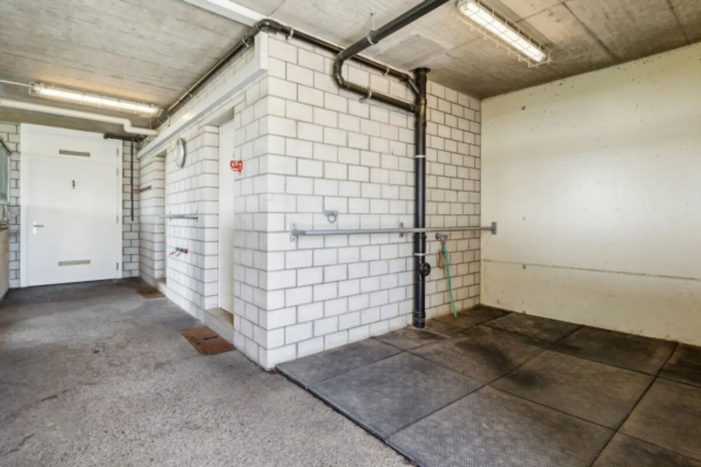 Exclusive Living with Commercial Potential and Infrastructure for 3 Horses - Photo 17 of 20