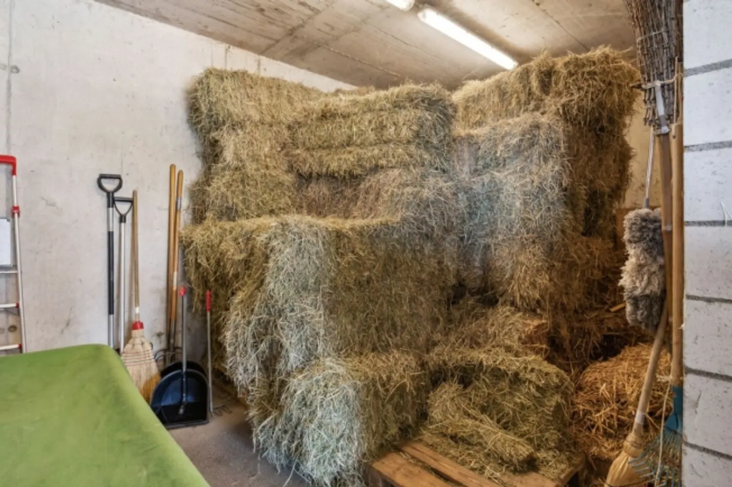 Exclusive Living with Commercial Potential and Infrastructure for 3 Horses - Photo 19 of 20