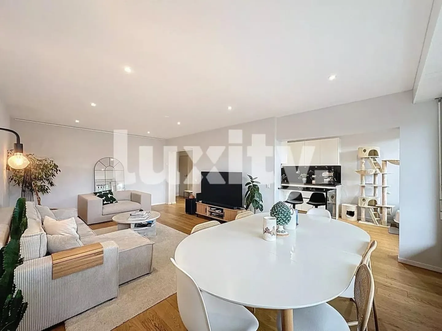 Appartement rénové - Eaux-Vives / Parc La Grange - Photo 1 sur 4