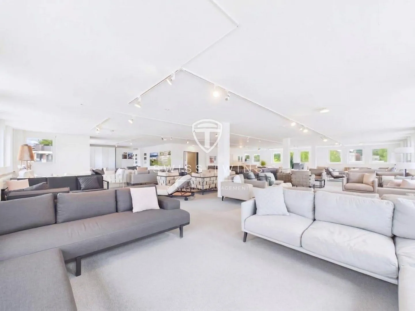 Modern commercial spaces with rooftop terrace in Fehraltorf - Photo 9 of 13