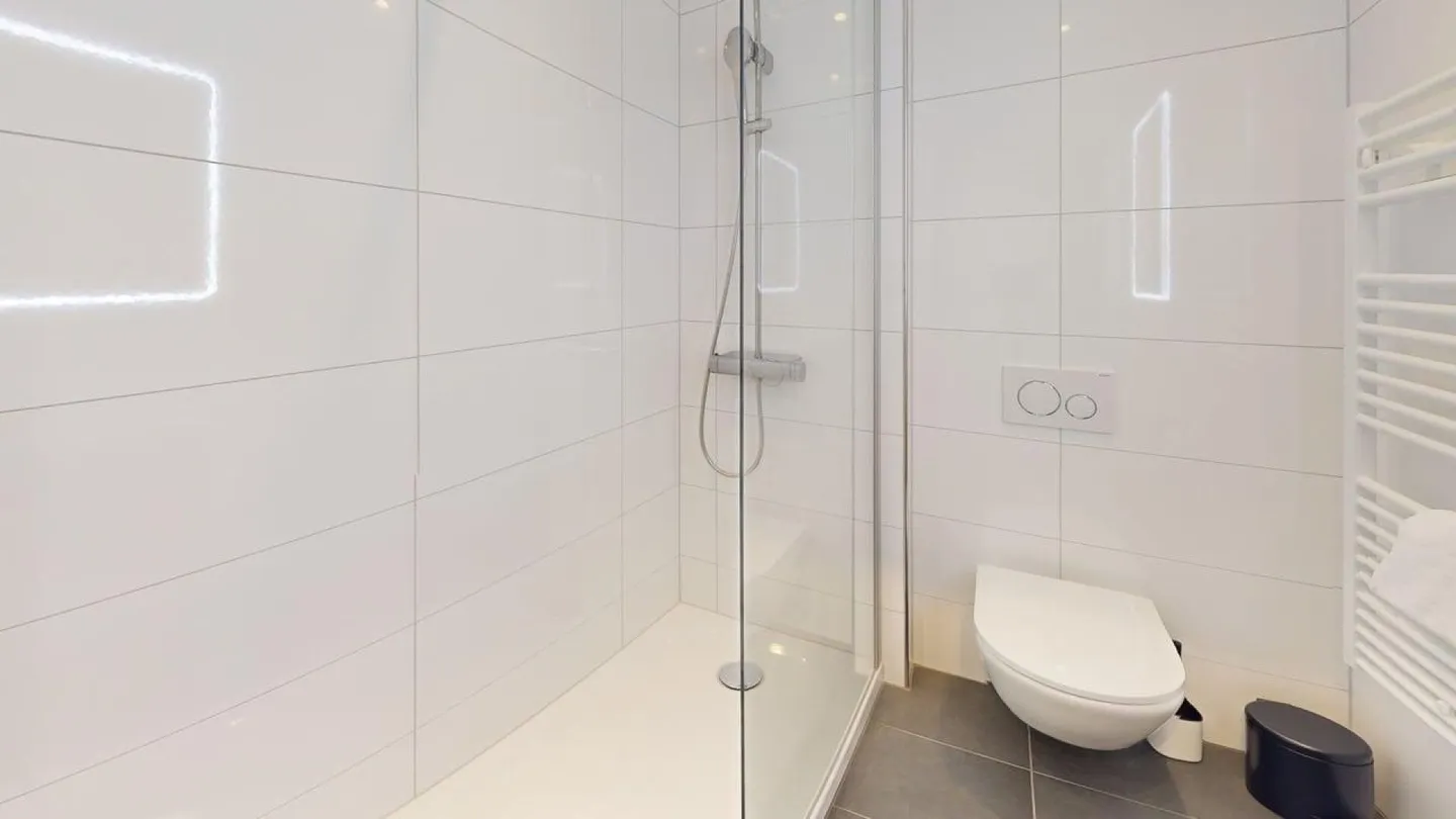 Unique Serviced Living @ Basilea SBB / Gundeldingen - Foto 5 di 6