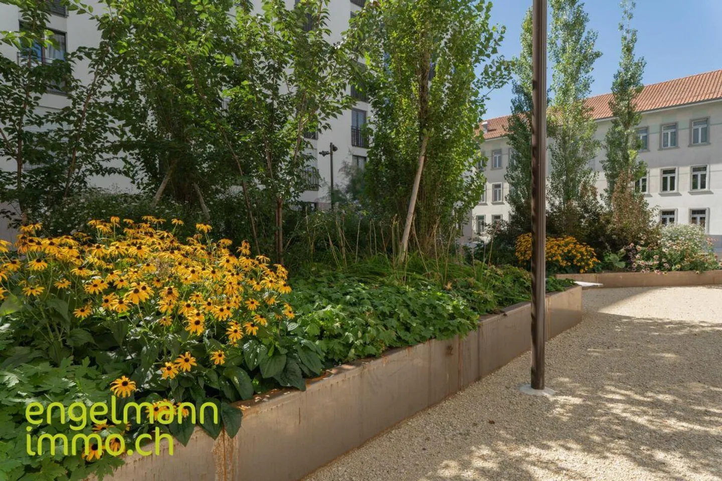 Charmante 2.5 Zimmerwohnung - Foto 6 von 7