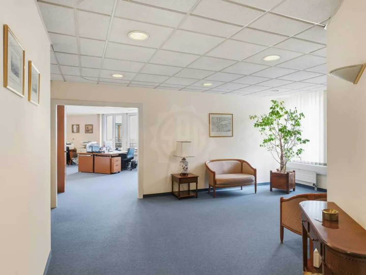 Büros mit viel Licht - Genf - Foto 3 von 12