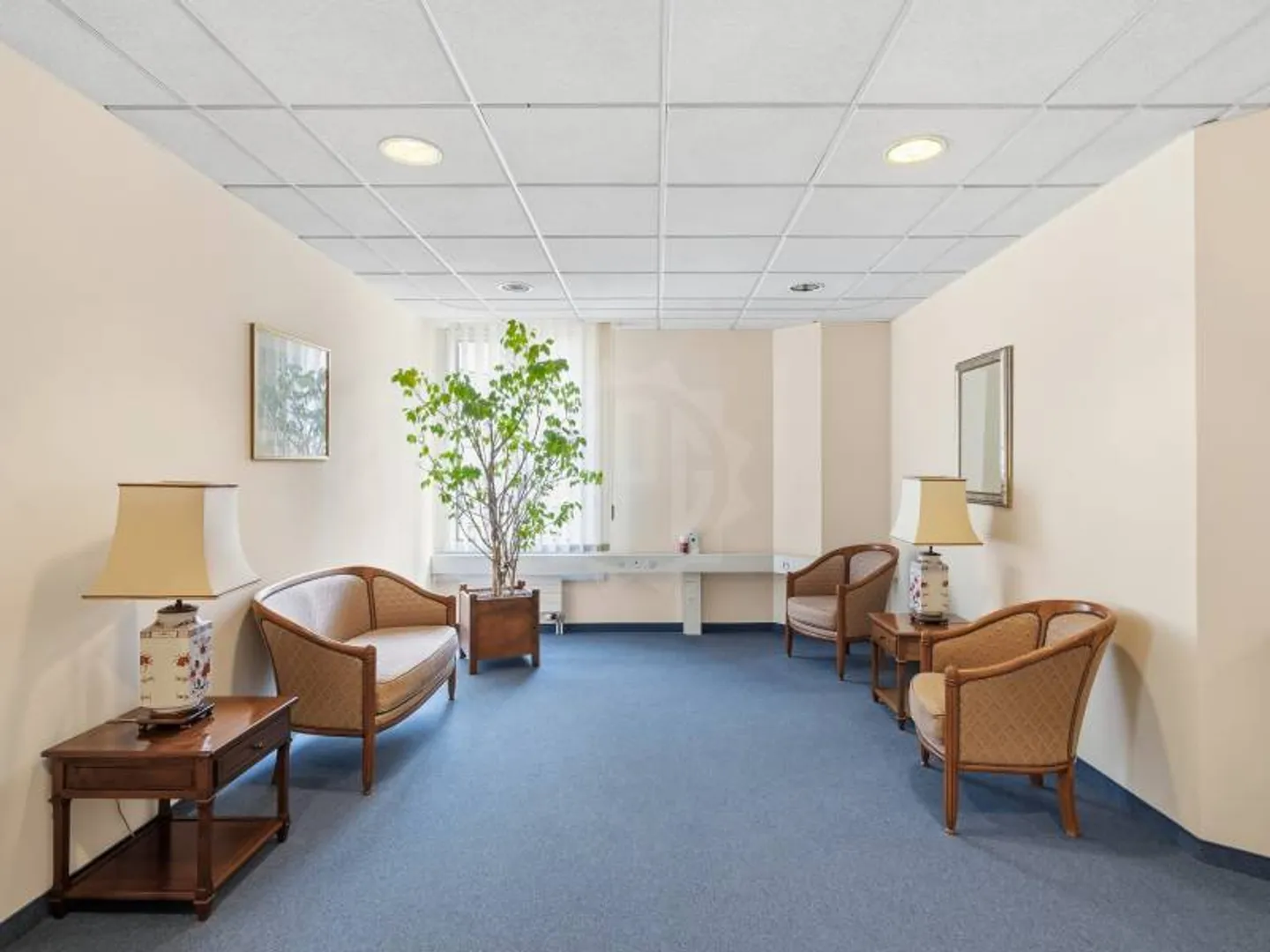 Büros mit viel Licht - Genf - Foto 4 von 12