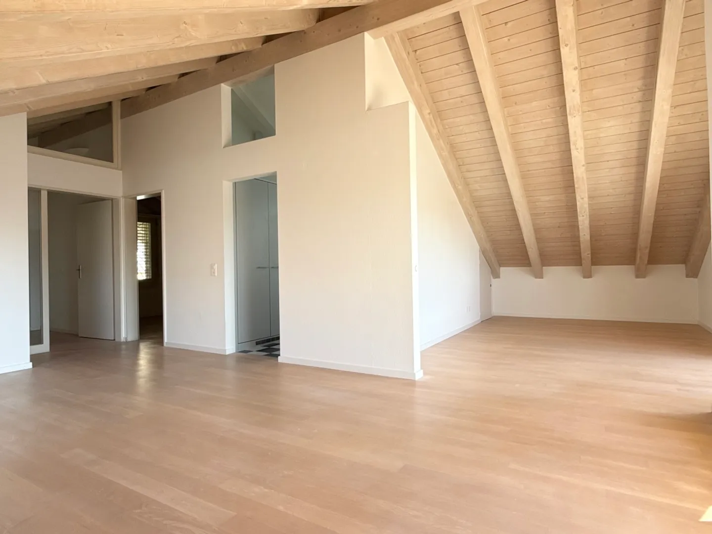 Charming Attic Apartment in Münchenstein - Photo 2 of 10
